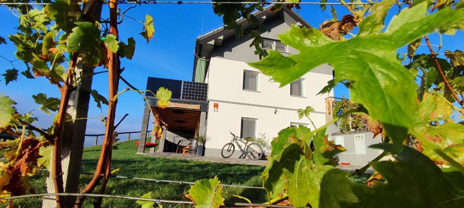 Apartmaji Gracner Dramlje Екстериор снимка
